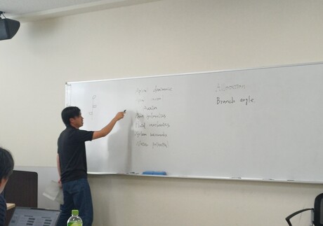 presentation